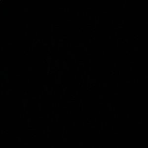 Meet your Posher, Dexter